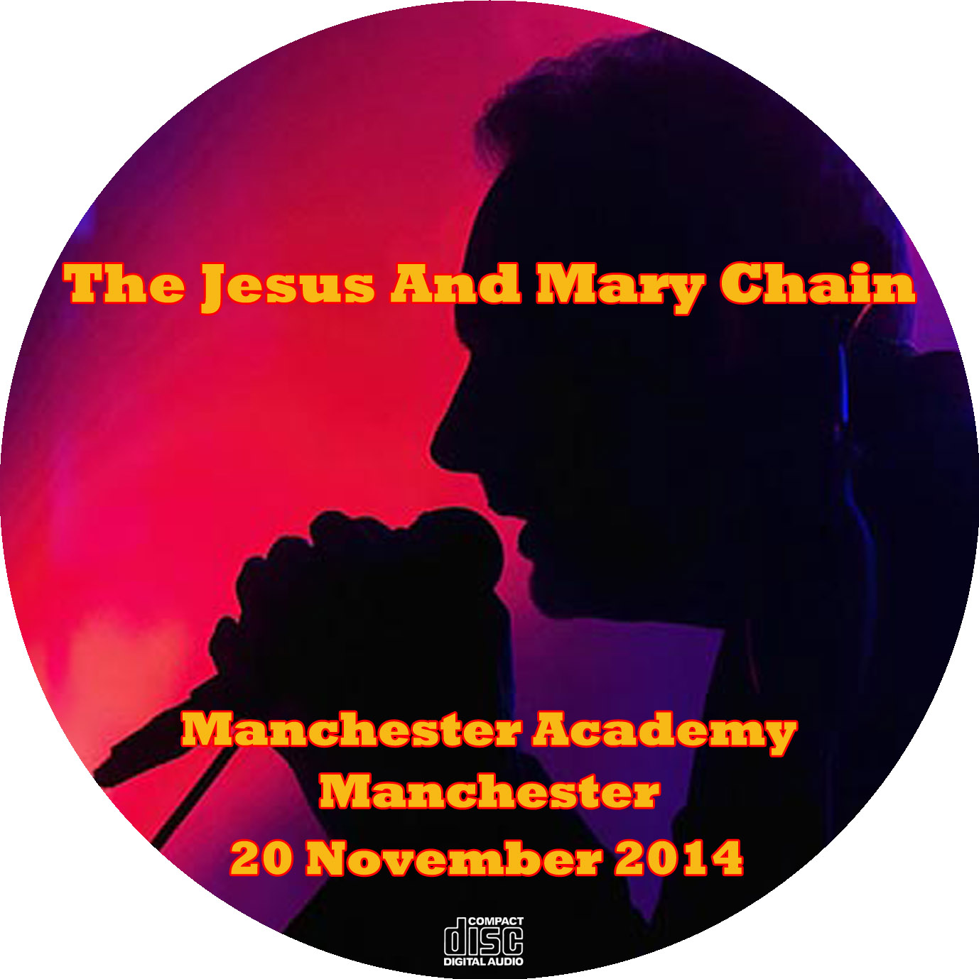 JesusAndMaryChain2014-11-20ManchesterAcademyUK (2).jpg